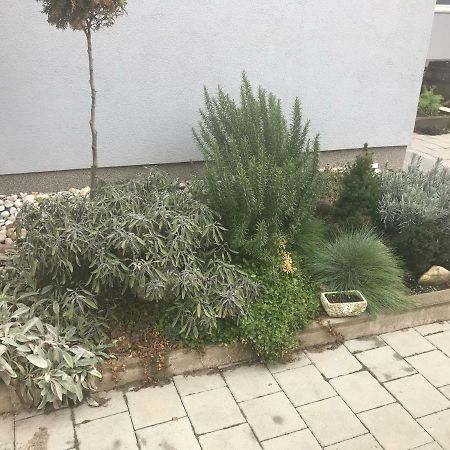 Velika Mlaka Studio Apartman Valentina מראה חיצוני תמונה
