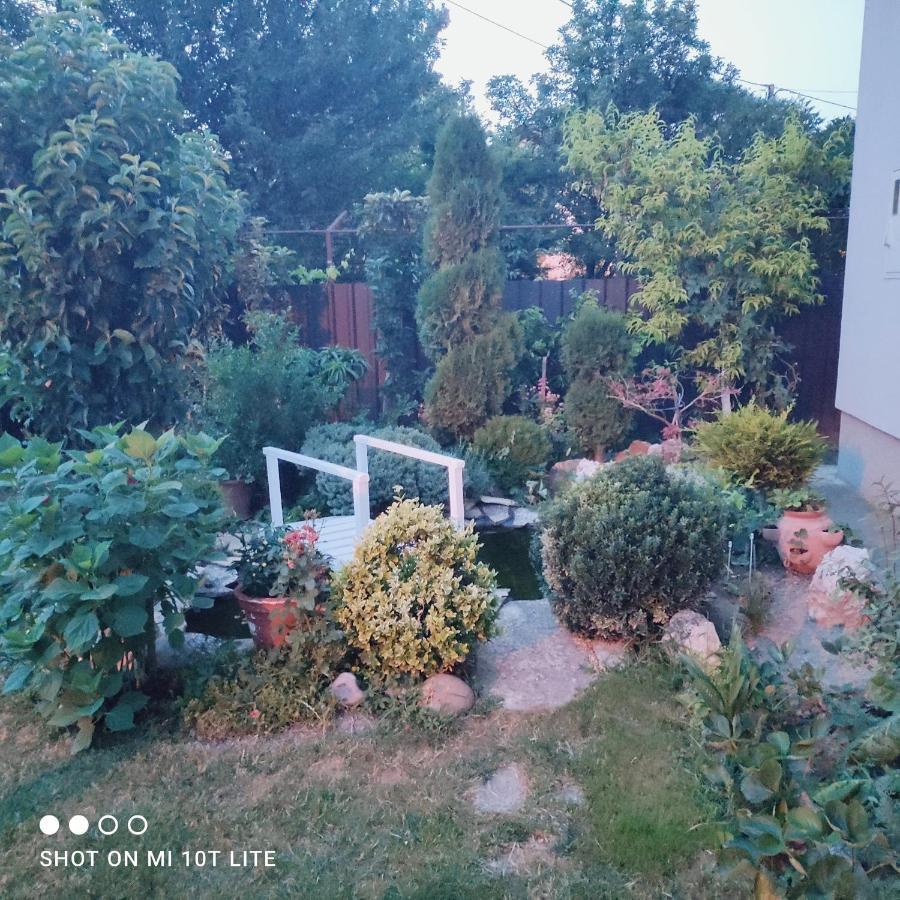 Velika Mlaka Studio Apartman Valentina מראה חיצוני תמונה